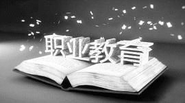 职业教育人才培养的行动指南
