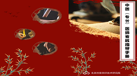 中医（专长）医师考核指导手册（四）