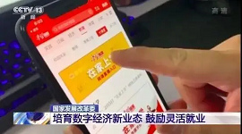 国家发展改革委：培育数字经济新业态 鼓励灵活就业