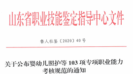 山东省关于公布婴幼儿照护等103项职业能力考核规范的通知