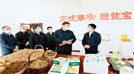 《求是》杂志发表习近平总书记重要文章