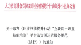 关于印发《职业技能提升行动“互联网+职业技能培训平台及资源运营服务规范（试行）》的通知