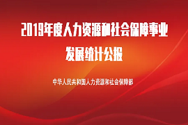 2019年度人力资源和社会保障事业发展统计公报
