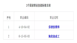 人力资源社会保障部办公厅关于颁布保健按摩师等2个国家职业技能标准的通知（人社厅发〔2020〕88号）