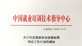 关于印发国家职业技能标准制定工作计划的通知