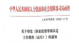 关于印发《职业技能等级认定工作规程（试行）》的通知