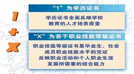 湖北：@湖北人，“1+X”证书制度来了！