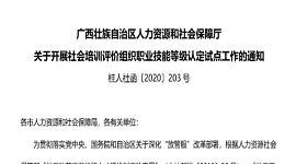 广西壮族自治区人力资源和社会保障厅 关于开展社会培训评价组织职业技能等级认定试点工作的通知