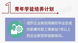 一图看懂｜百万青年技能培训行动，等你来参加！