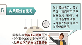 @高校毕业生、失业青年、单位：就业见习可领补贴！速看