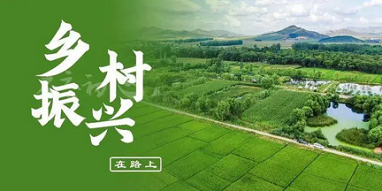为乡村振兴注入人社力量——党的十八大以来人社工作助推乡村振兴综述