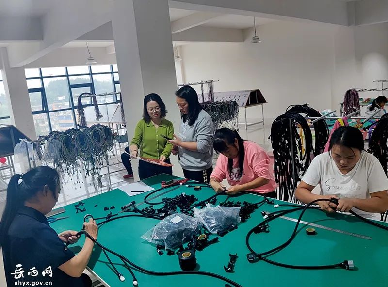 聚焦民生 | 打造“三公里”就业圈，优化就业新模式