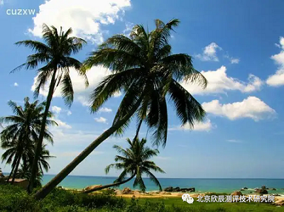 关于举办“十四五”职业技能培训规划和技工教育“十四五”规划培训班的通知