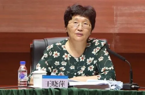 王晓萍赴北京市调研就业工作
