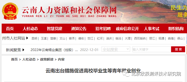 有关于就业、技能等相关政策资讯，来看