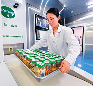以人才引领驱动支撑中国式现代化