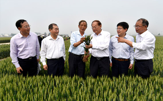 凝聚起县域农业科技现代化的专家力量