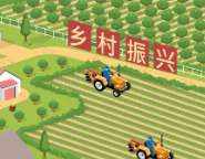 安徽安庆：以高质量就业服务助力乡村振兴“加速跑”