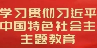 深入扎实开展第二批主题教育