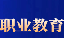 2023职业教育改革与发展报告