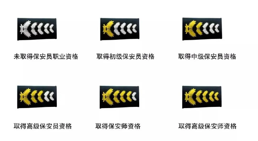 图片 10.png